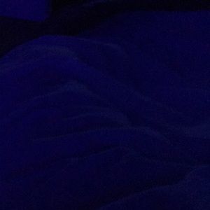 Meet your Posher, Ricardo